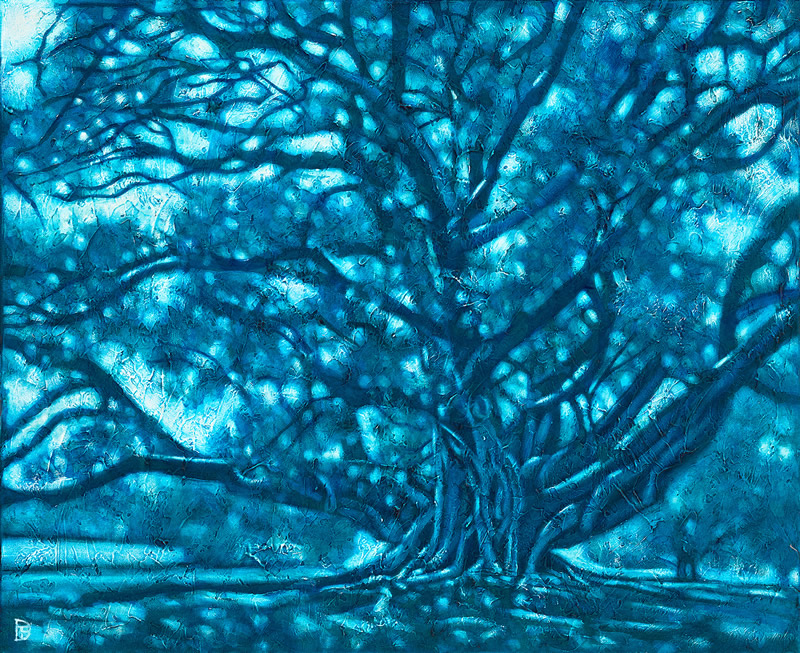 Moreton Bay Fig Eora Country Moreton Bay Fig Eora Country