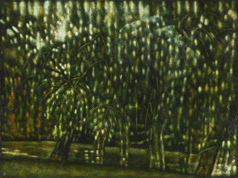 Weeping Willow Trees Weeping Willow Trees