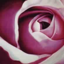 Study for Blue Moon Rose