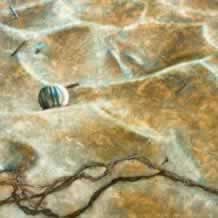 Low Tide