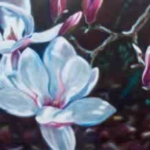 Magnolias 