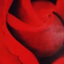 Red Rose (Klaes)