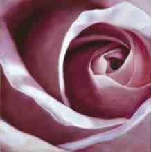 Rileys Roses 2/4