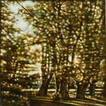 Springs Dappled Light Springs Dappled Light