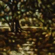 Sunday Park Shade Study Sunday Park Shade Study