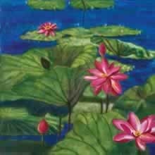 Water Lilies